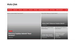 Desktop Screenshot of mutlucilek.com